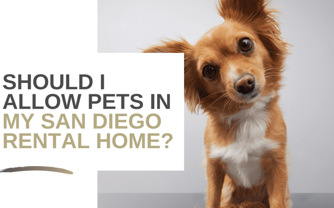Should I Allow Pets In My San Diego Rental Home?